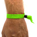 Close Up Of A Green Fabric Wristband