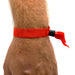 Close Up Of A Red Fabric Wristband