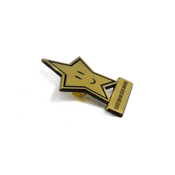 Side View Of Our Star Shaped Award Pin